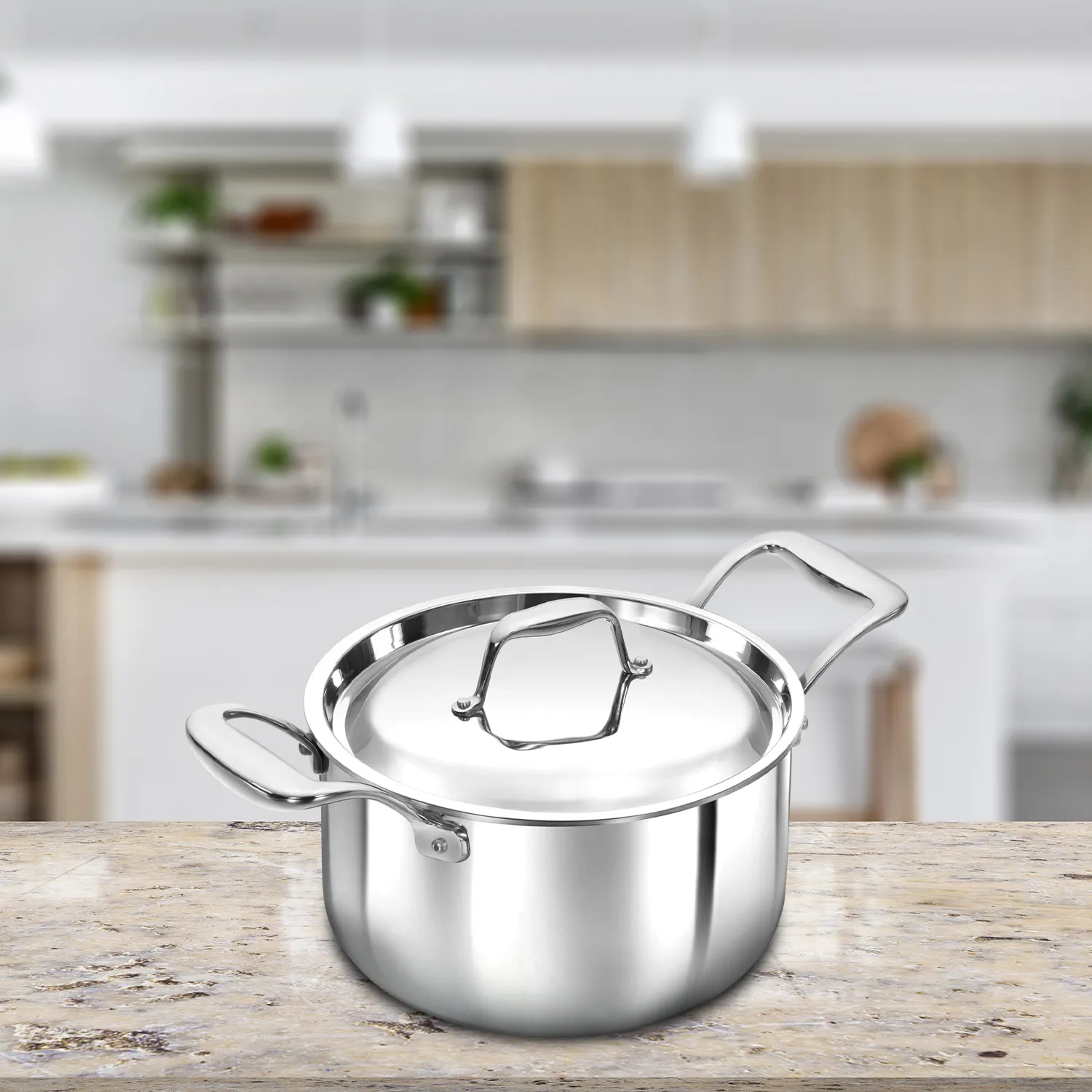 Induction Compatible SS Tri-ply PRO Milk Pan 3 Litre with Stainless Steel Lid (PSMP30S)