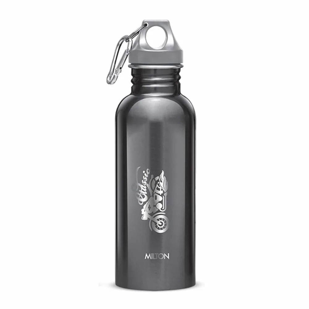 Alive Stainless Steel Bottle (Milton)