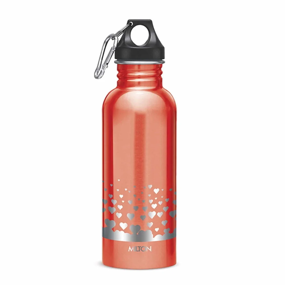 Alive Stainless Steel Bottle (Milton) - Image 6