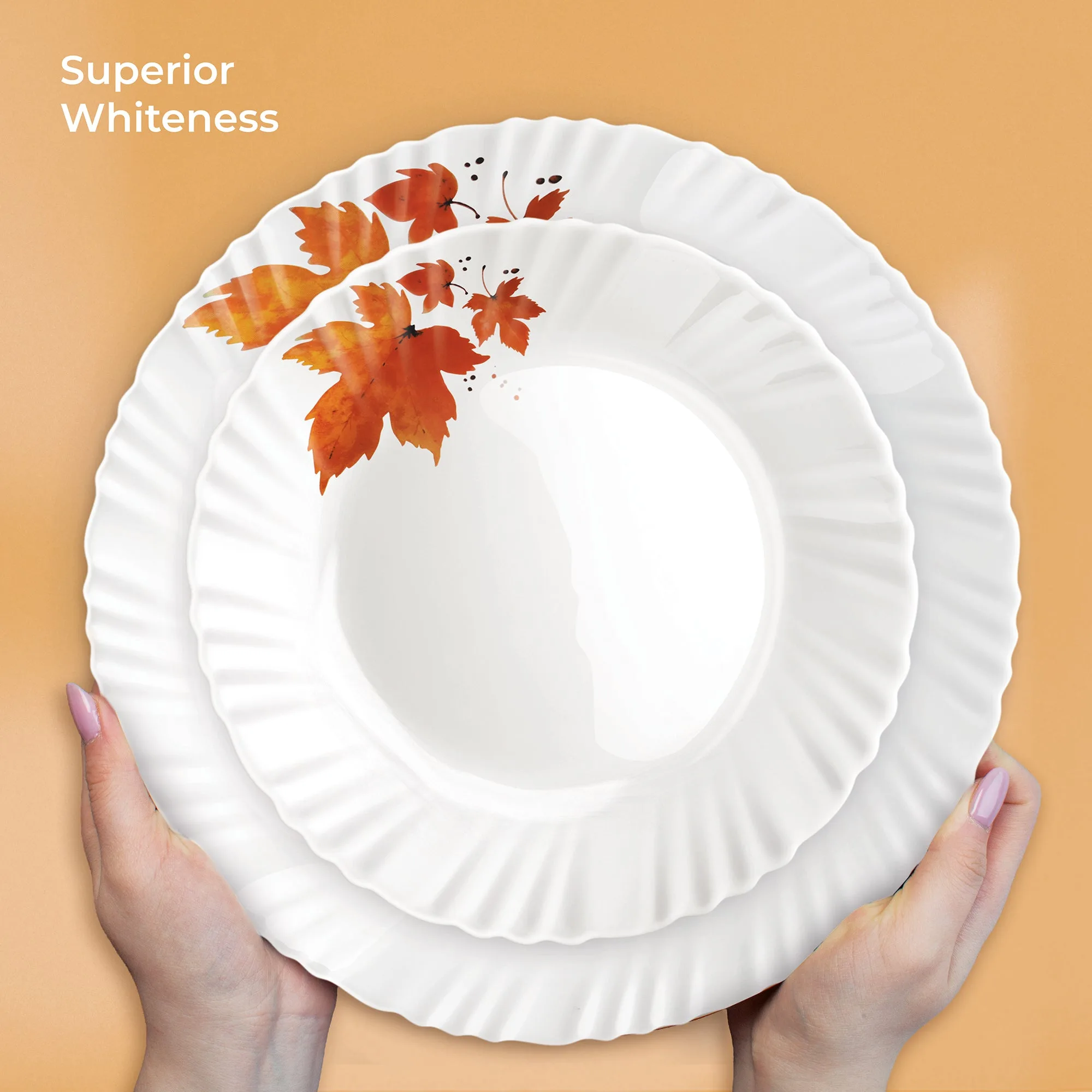 Aurelia Collection Dinner Set - MAPELLE - Image 10