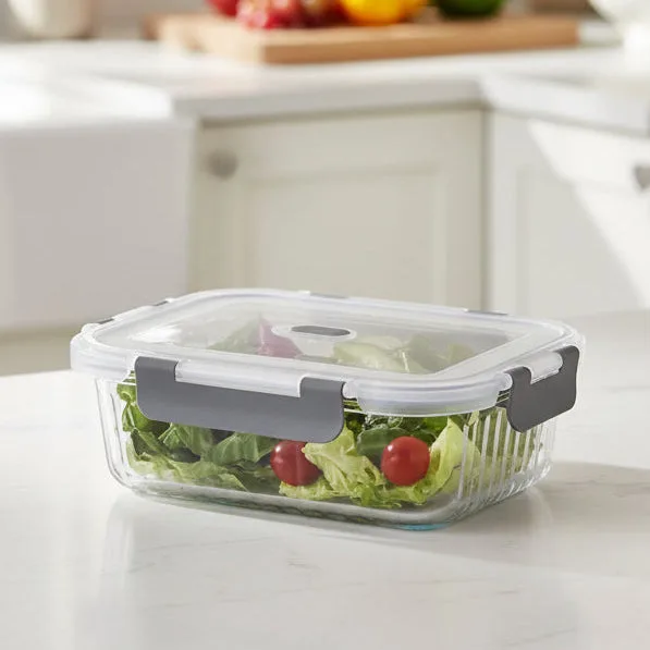Borosilicate Clip Fresh Rib Rectangular Container (Treo by Milton) - Image 1