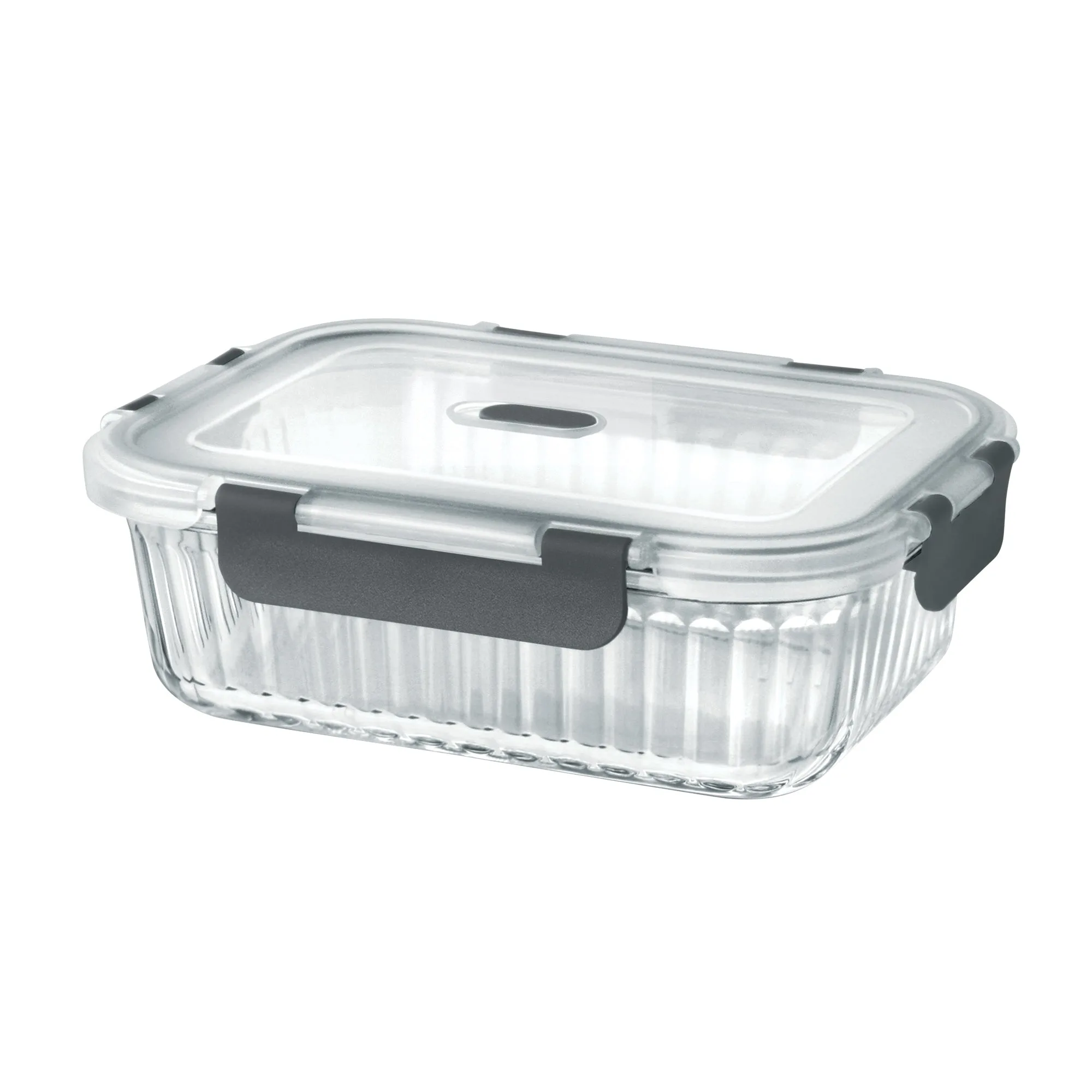 Borosilicate Clip Fresh Rib Rectangular Container (Treo by Milton) - Image 2