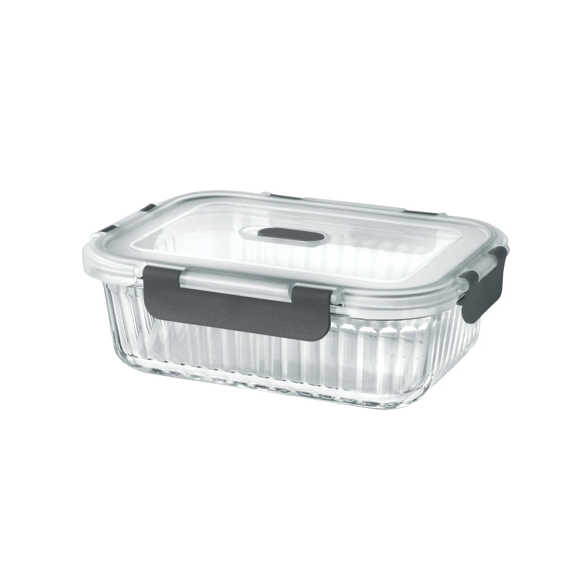Borosilicate Clip Fresh Rib Rectangular Container (Treo by Milton) - Image 3