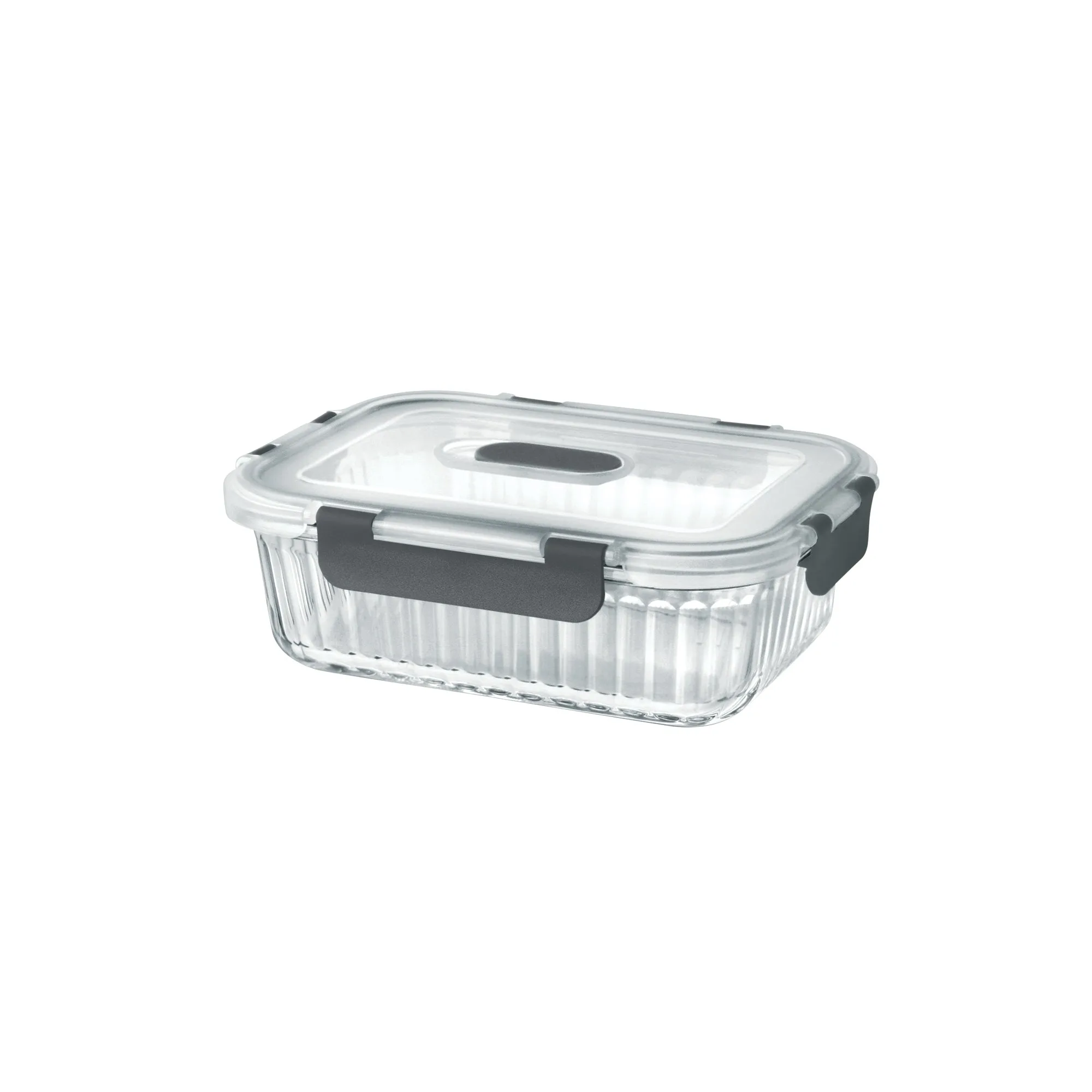 Borosilicate Clip Fresh Rib Rectangular Container (Treo by Milton) - Image 4