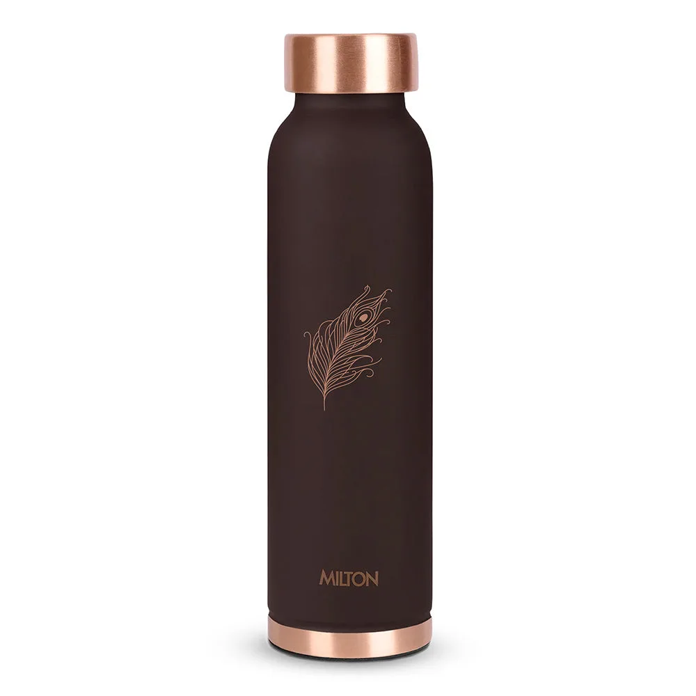 Krishna Divine Copper Arogya Plus Bottle (Milton) - Image 8