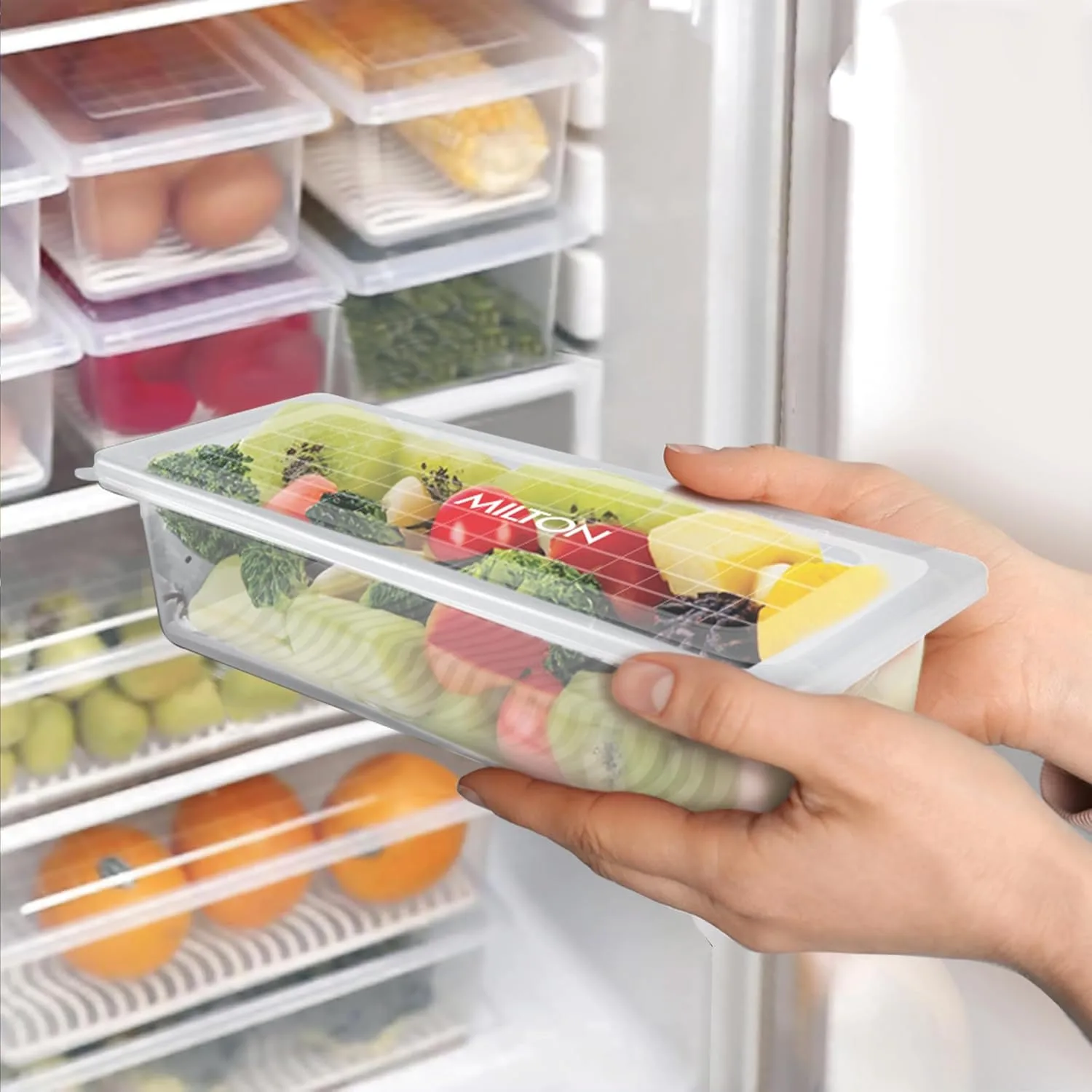 Cryo Fridge Storage Boxes Set of 6 Fridge Organizer Container (Milton)