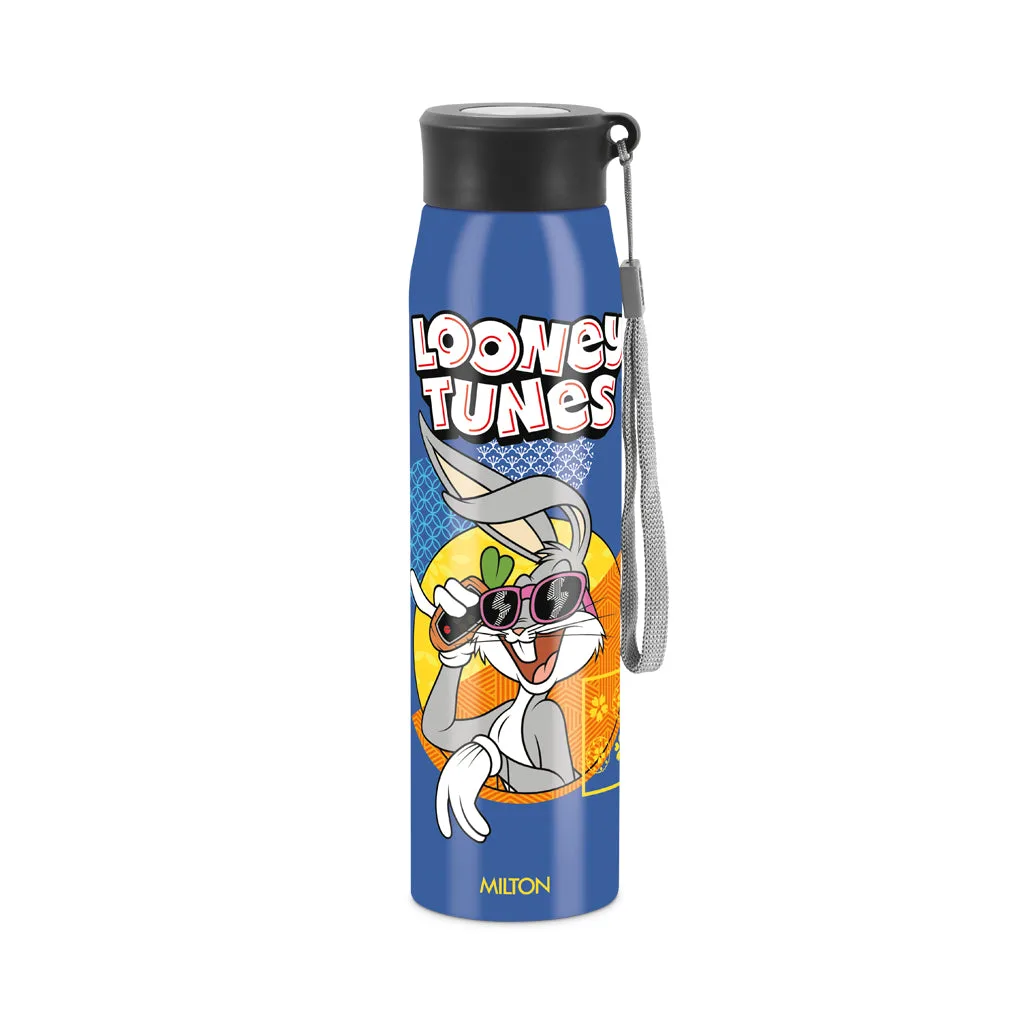 Handy 3D Design Looney Tunes Stainless Steel Bottle (Milton) - Image 1