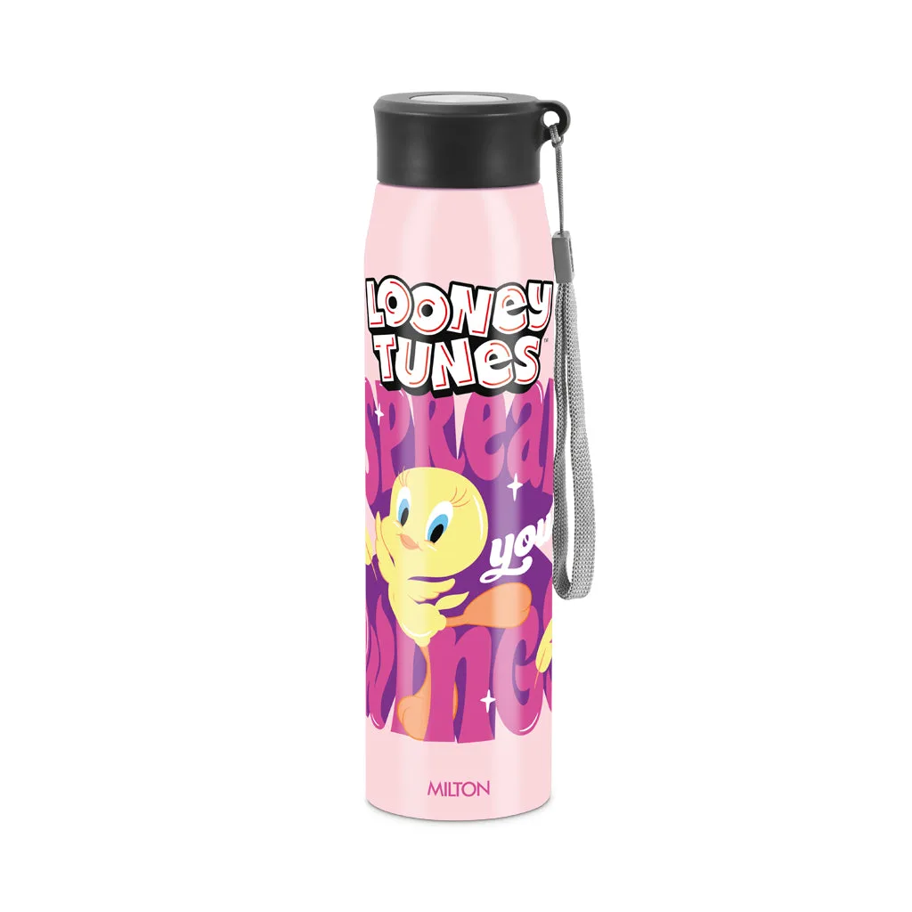 Handy 3D Design Looney Tunes Stainless Steel Bottle (Milton) - Image 3