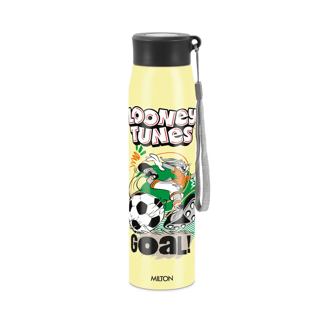 Handy 3D Design Looney Tunes Stainless Steel Bottle (Milton) - Image 5