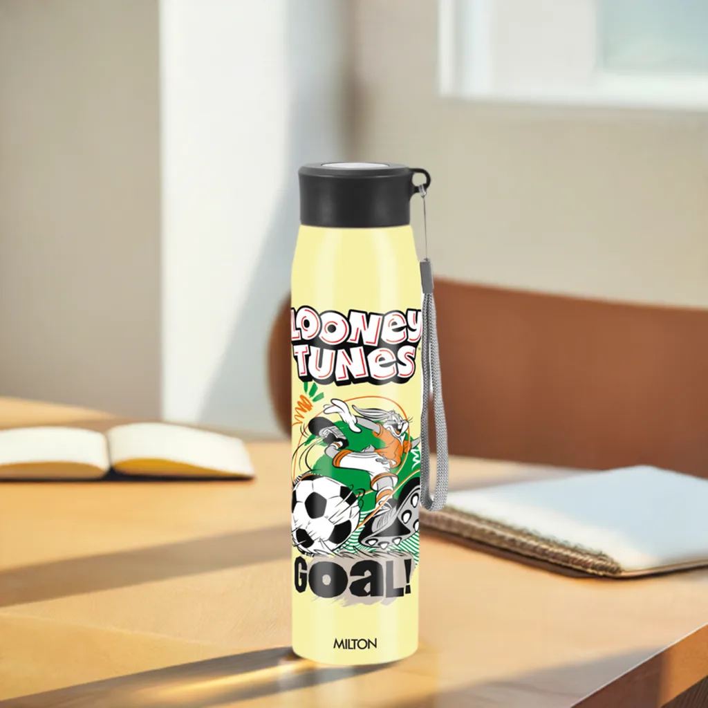 Handy 3D Design Looney Tunes Stainless Steel Bottle (Milton) - Image 6