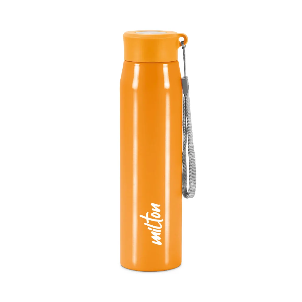 Handy Stainless Steel Bottle (Milton) - Image 11