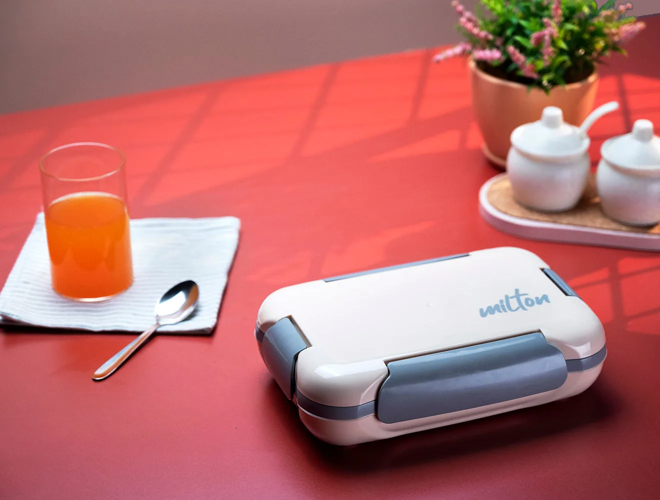 More Meal Lunchbox (Milton) - Image 8
