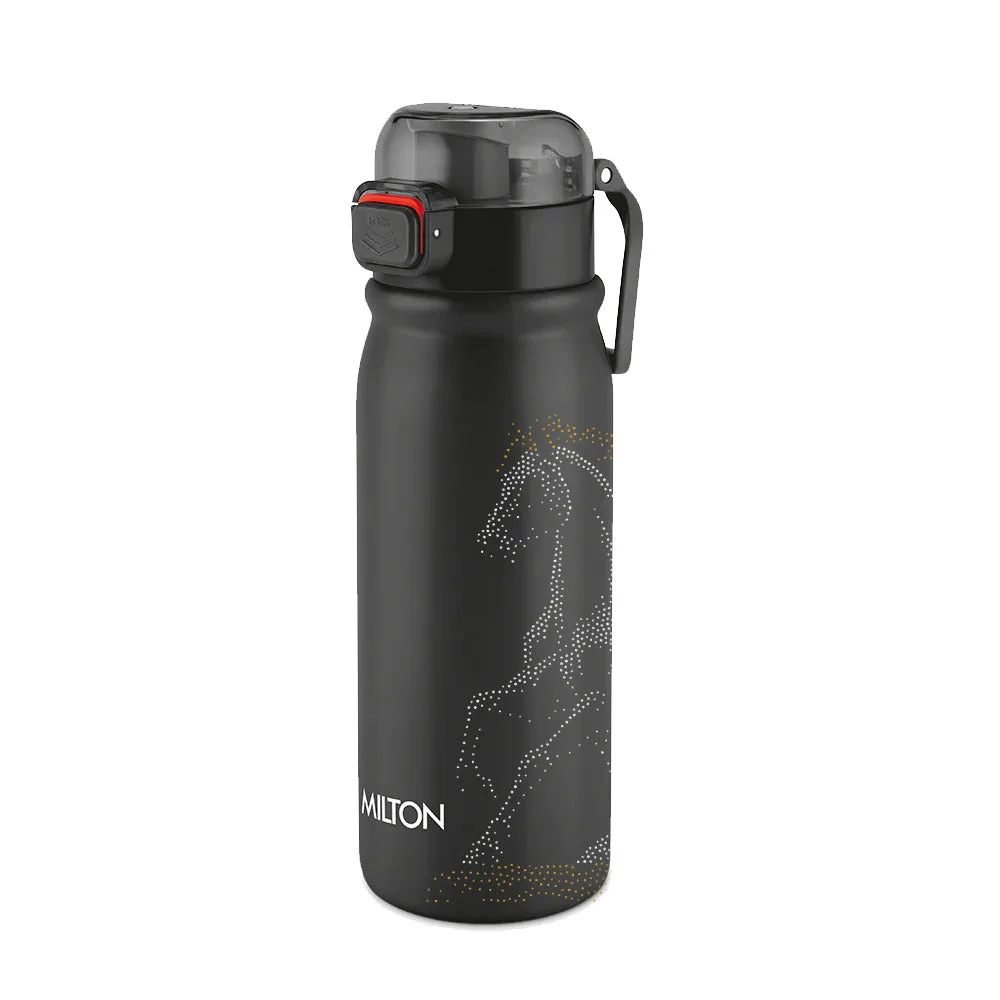 Reva UV Design Stainless Steel Bottle - (Milton) - Image 3