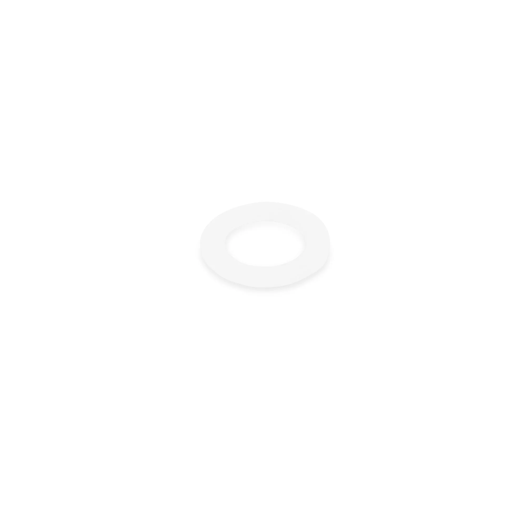 Spare Beverage Air Pump Washer - Image 1