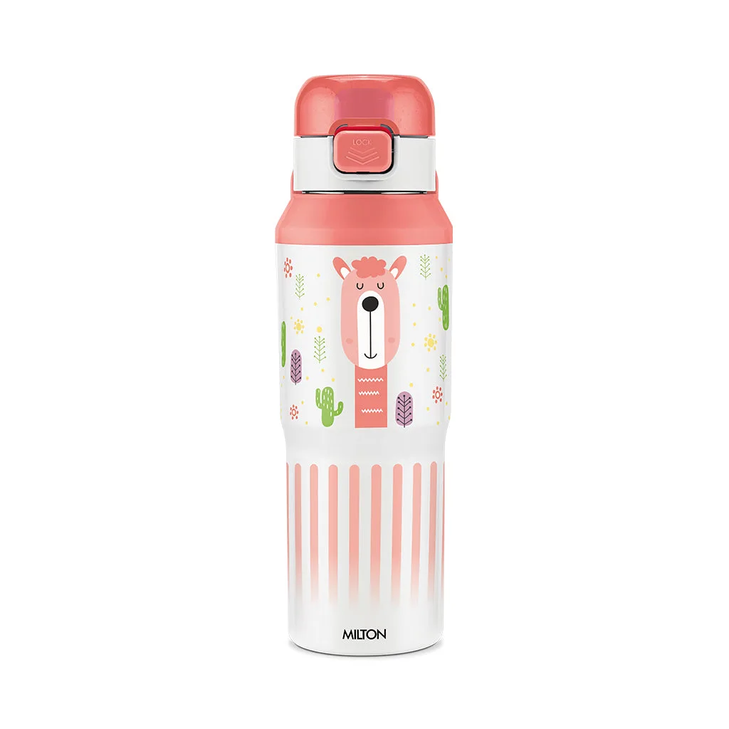 Steel Helio Thermoware Bottle (Milton) - Image 6