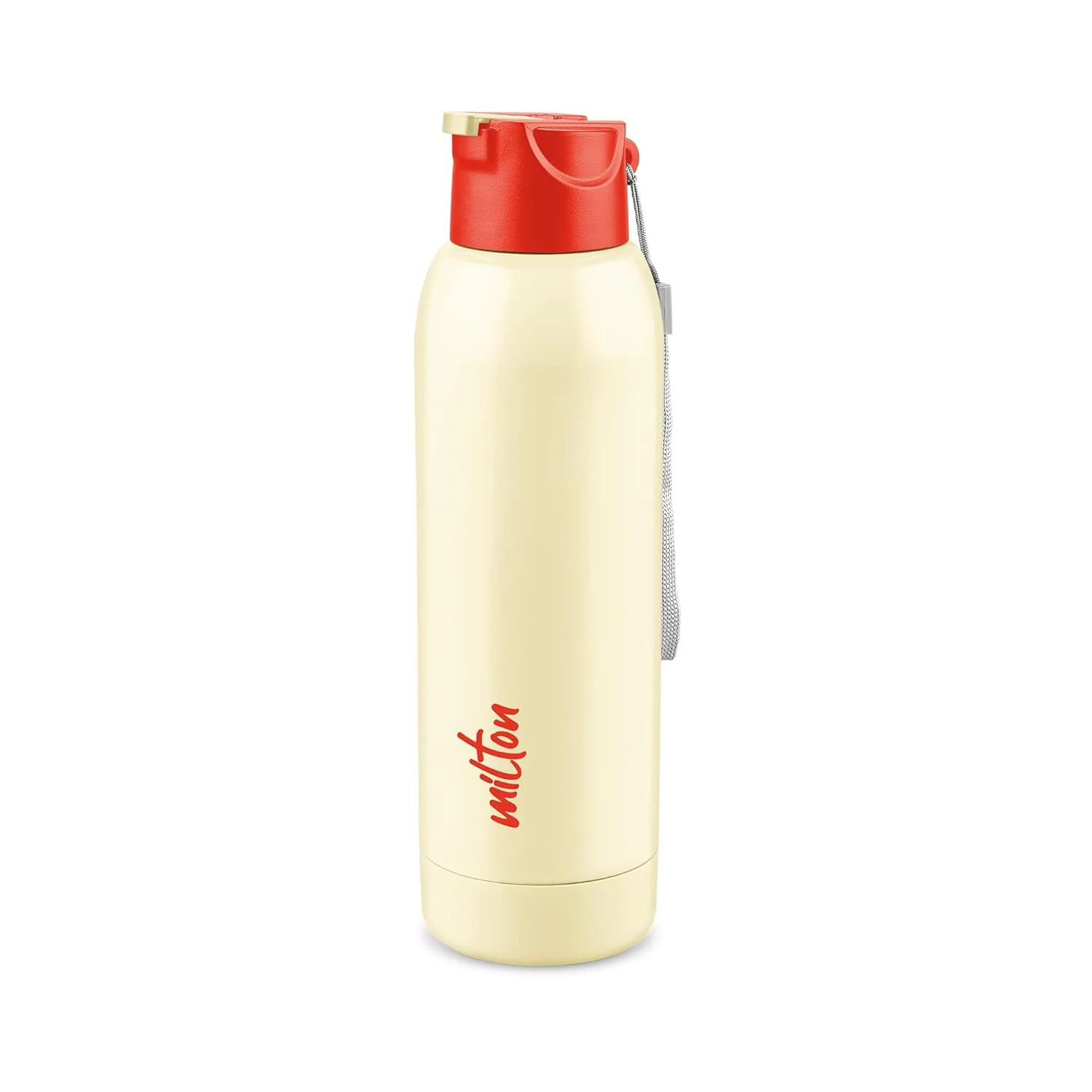 Steel Swag Insulated Water Bottle (Milton) - Image 6